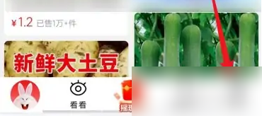 淘特APP怎么联系客服?