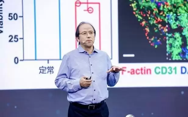 破解器官移植供体短缺难题,组织器官生物制造未来将提供解决方案