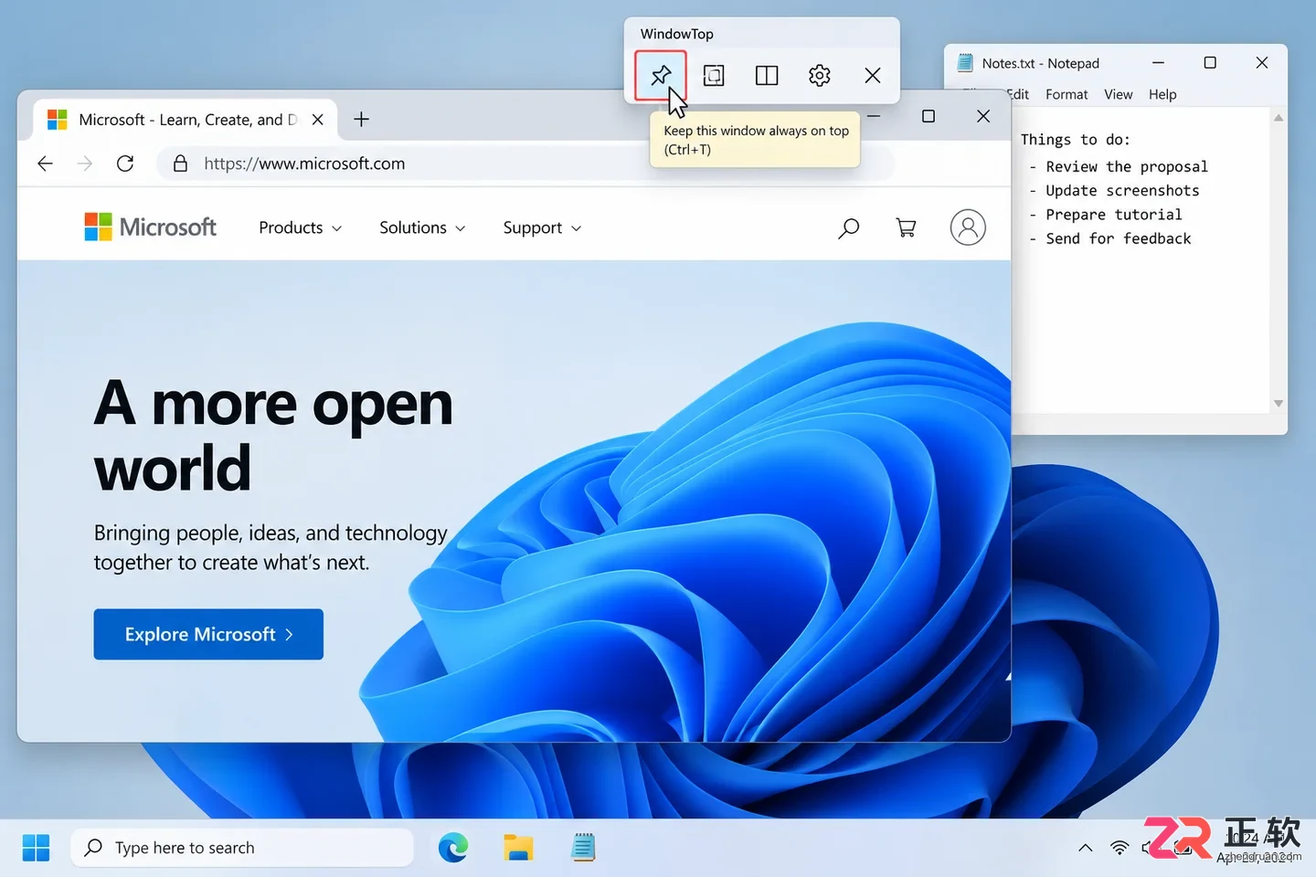 WindowTop中文设置方法及操作步骤详解