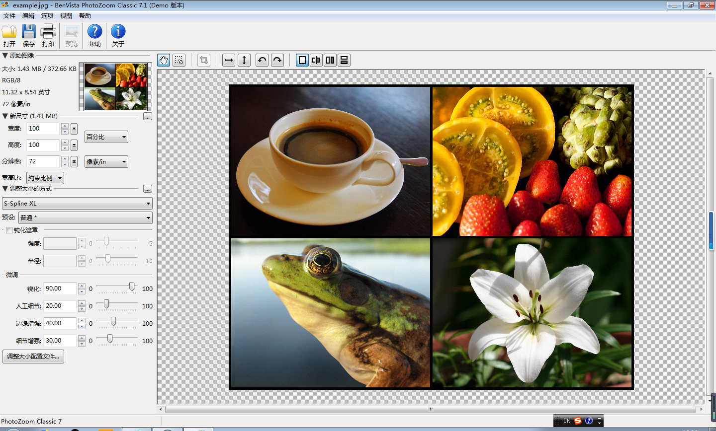 PhotoZoom Classic 7系统要求详情