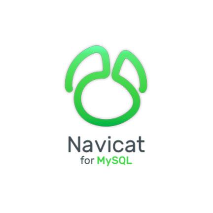 Navicat for PostgreSQL 12 简体中文版