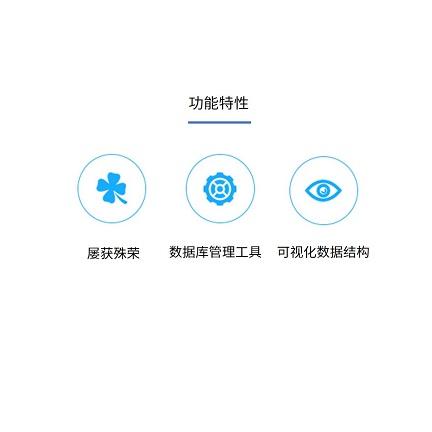 Navicat for PostgreSQL 12 简体中文版