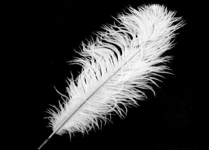 优动漫PAINT中去除图片底色的方法