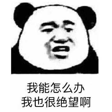 我能怎么办