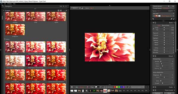 Exposure X4调色滤镜插件中的500个预设模板一览