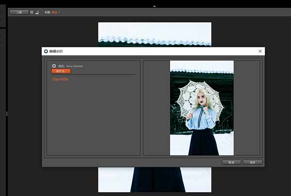 Exposure X4在LR插件中迅速添加水印的方法