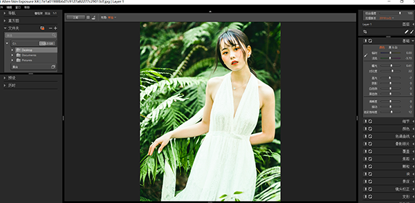 Exposure X4汉化版