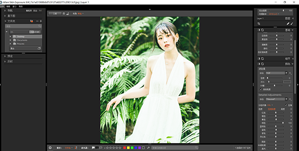 Exposure X4汉化版