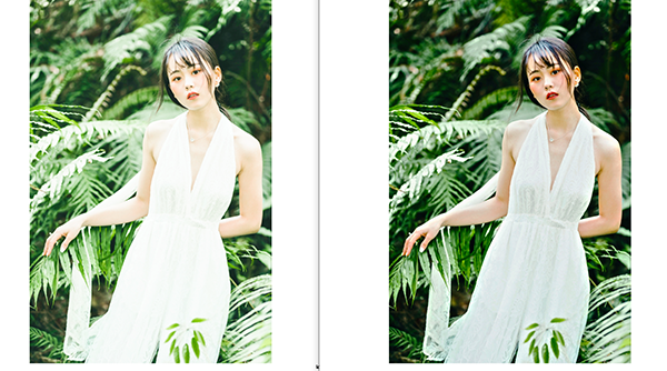 Exposure X4汉化版