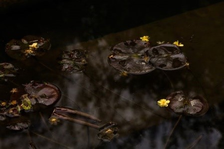 用Exposure制作充满细节的高饱和照片的方法教程