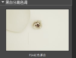 RAW后期处理软件
