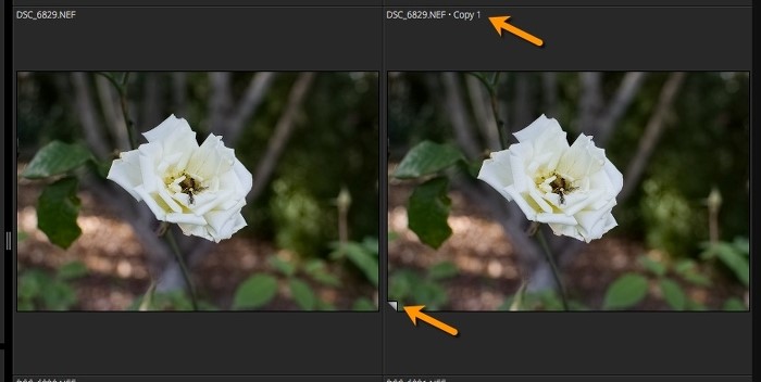 Exposure X4