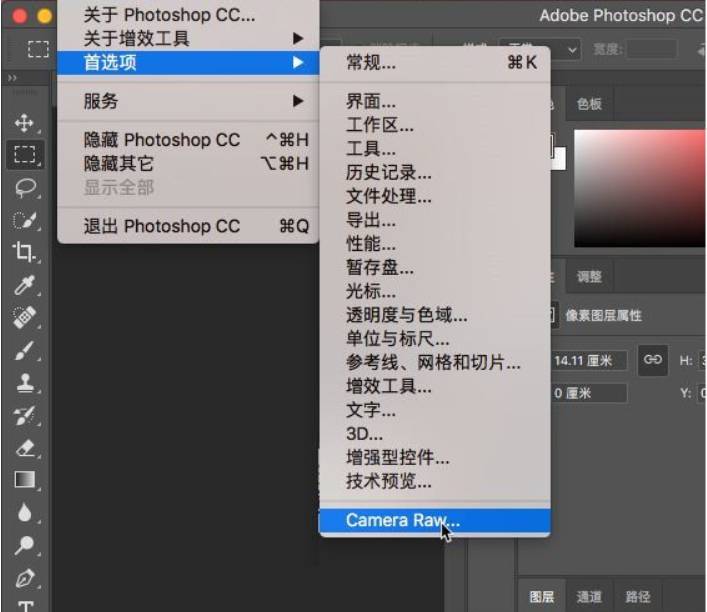 Camera Raw