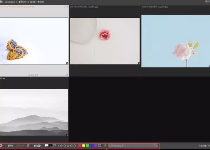 Alien Skin Exposure迅速剔除不必要的图像的操作方法
