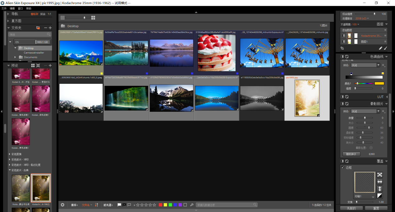 Alien Skin Exposure打印功能的详细介绍