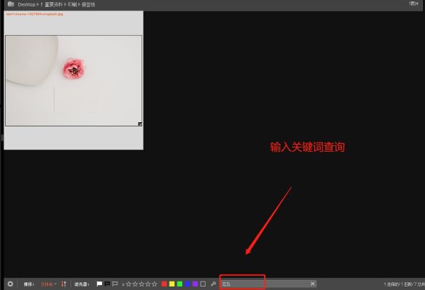 RAW后期处理软件