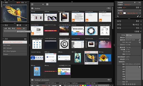 Exposure X4解决RAW文件不受支持的详细教程