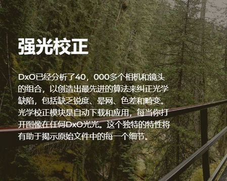nik的细节功能