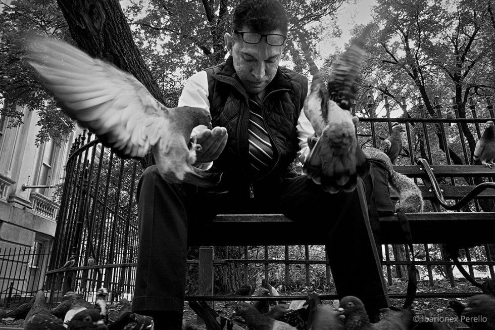 Alien Skin Exposure光影详细教程