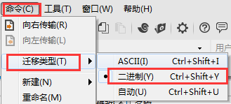选择二进制类型