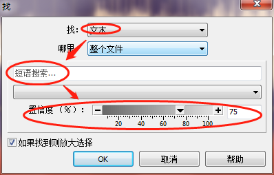 图四:查找文本时设置界面