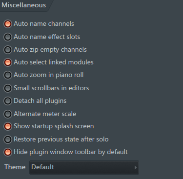 项目信息和项目常规设置 杂项界面