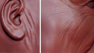 ZBrush皱纹雕刻