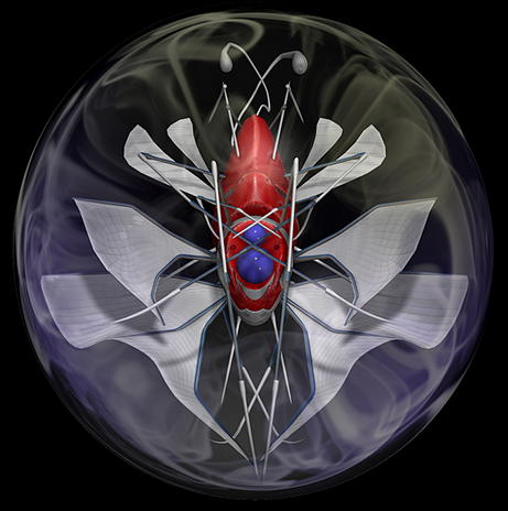 ZBrush创建3D微型机械昆虫的方法一览（中）