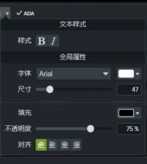 图4：设置文本样式