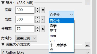 PhotoZoom新尺寸