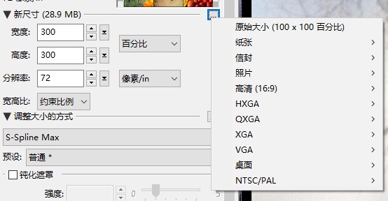 PhotoZoom画布预设
