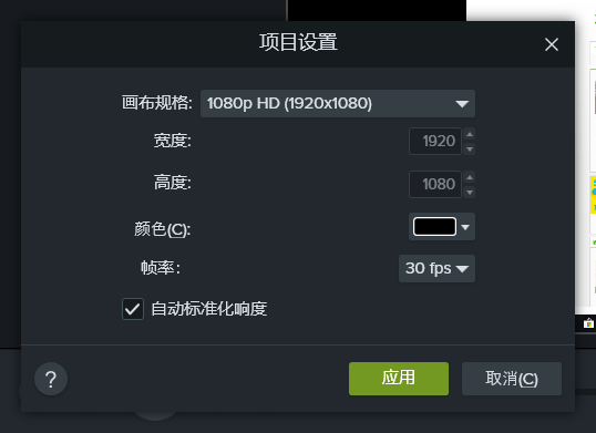图片1:项目设置