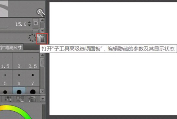 图2 子工具高级选项面板