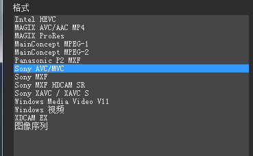 Vegas渲染器支持的格式