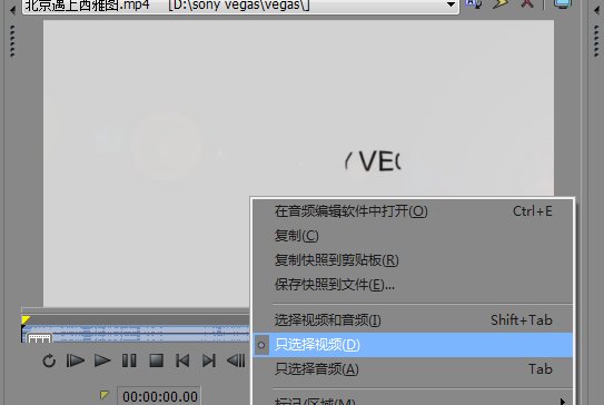 Vegas pro 13提取视频文件的方法