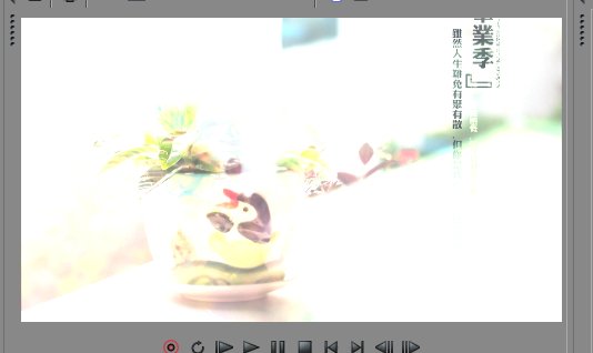 闪白效果展示
