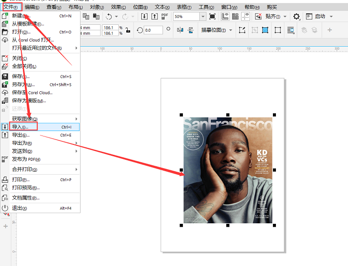 CorelDRAW给图片去色的方法