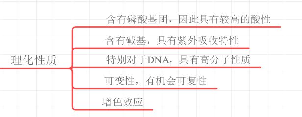 核酸的理化性质