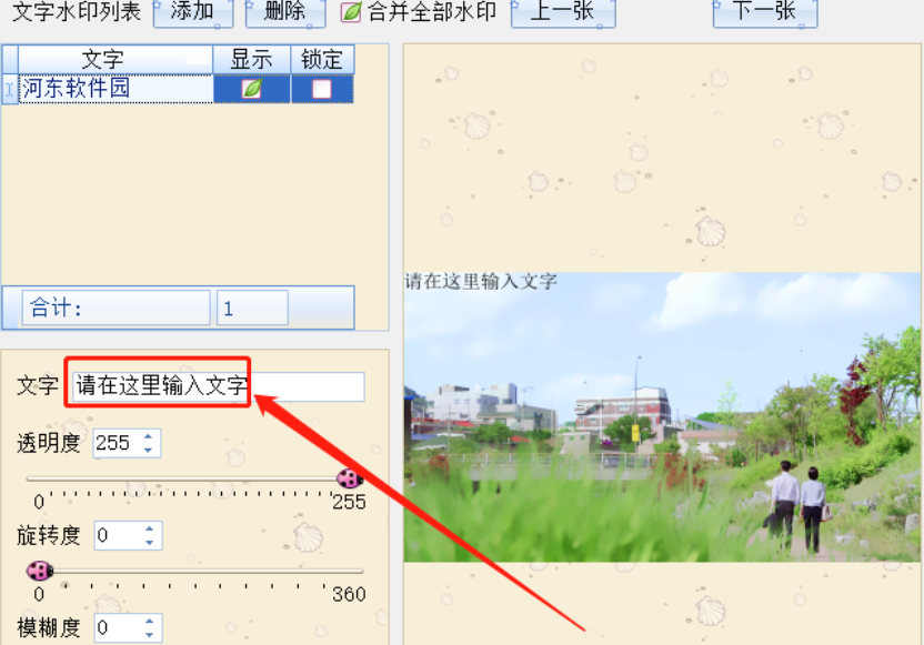 天音批量加水印大师给图片添加文字水印的操作方法