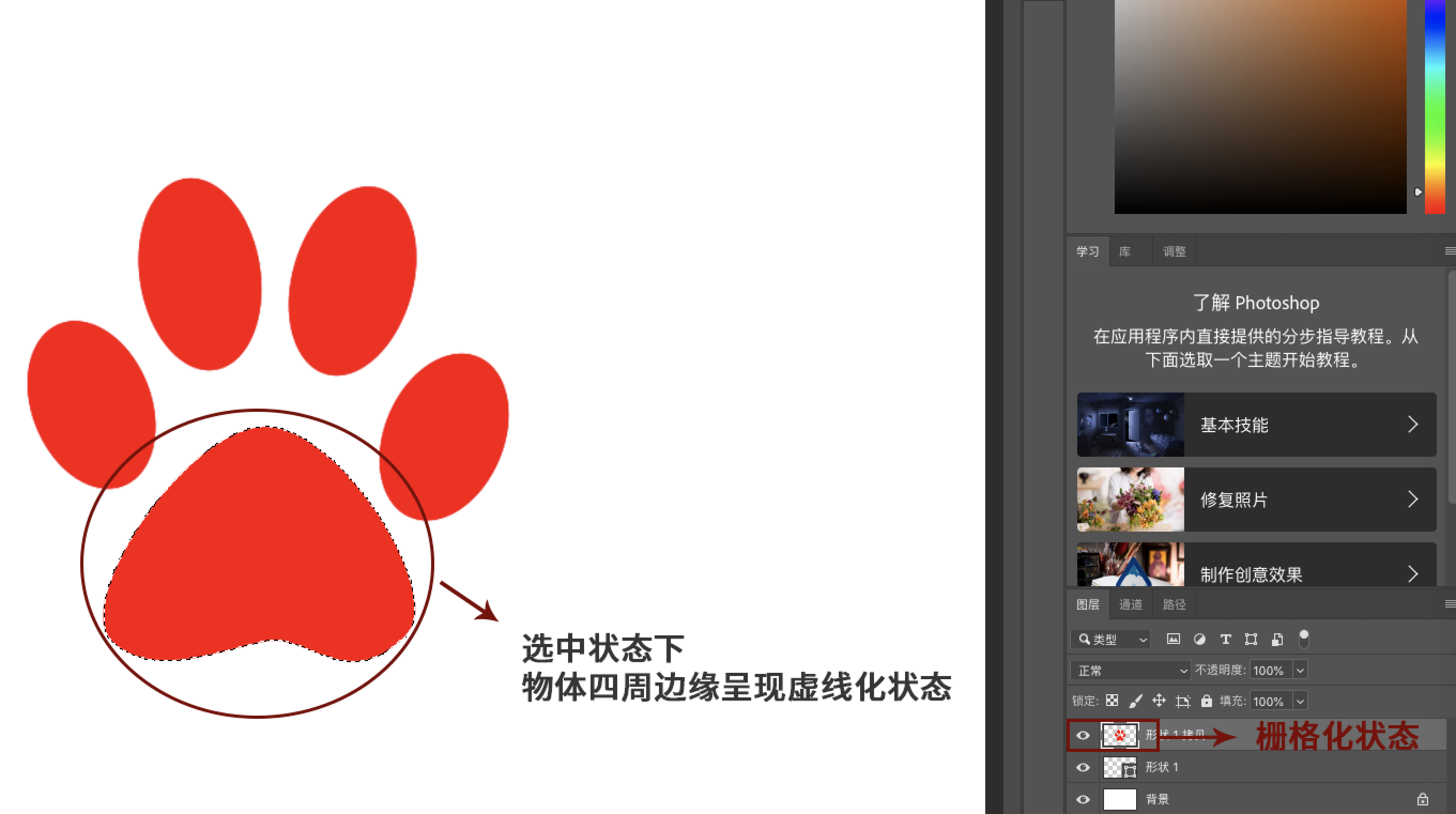  10秒教你如何用PS魔棒工具抠图
