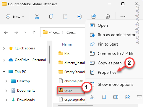 CS:GO 在 Windows 10 / 11 中出现崩溃、冻结和黑屏问题的解决方法