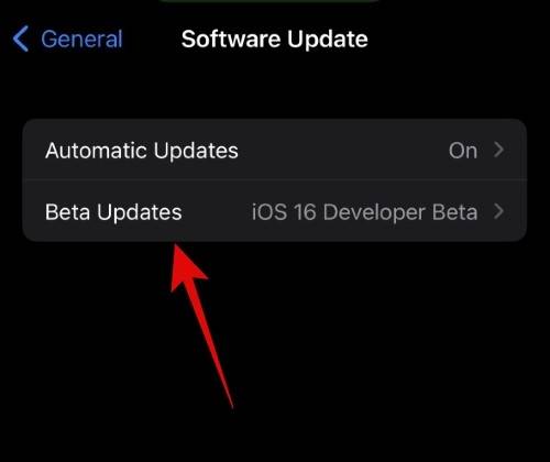 如何在 iOS beta 更新中使用不同的 Apple ID？