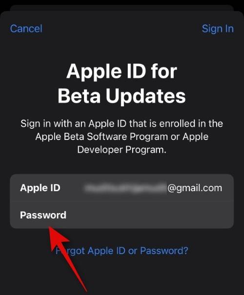 如何在 iOS beta 更新中使用不同的 Apple ID？