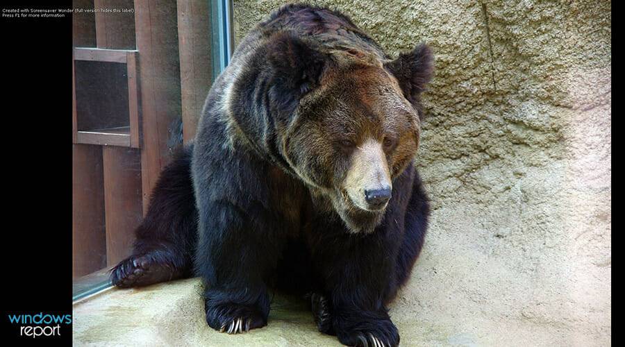 如何在 Windows 上创建自定义的屏幕保护程序文件(.scr)？