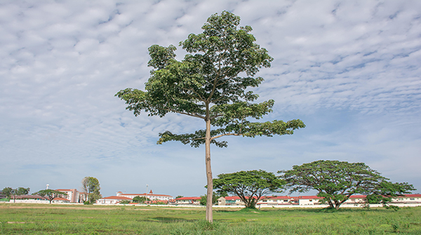 Python 列表解析式是否是有效的任务解决方法？