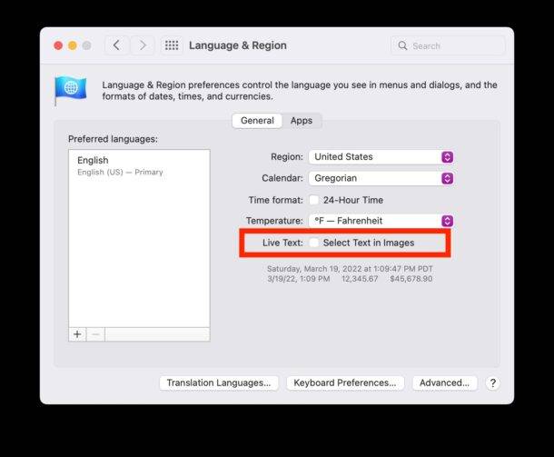 如何禁用 Mac 上的实时文本功能？