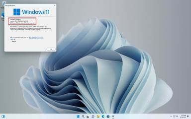 这是您现在可以升级到 Windows 11 22H2 的方法