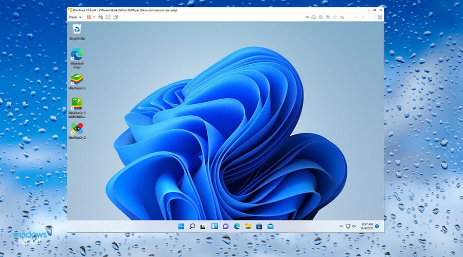 Windows 11的最佳虚拟机软件推荐（免费和付费）