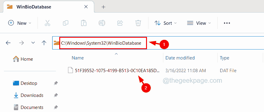 如何解决 Windows Hello Face 相机兼容性问题?