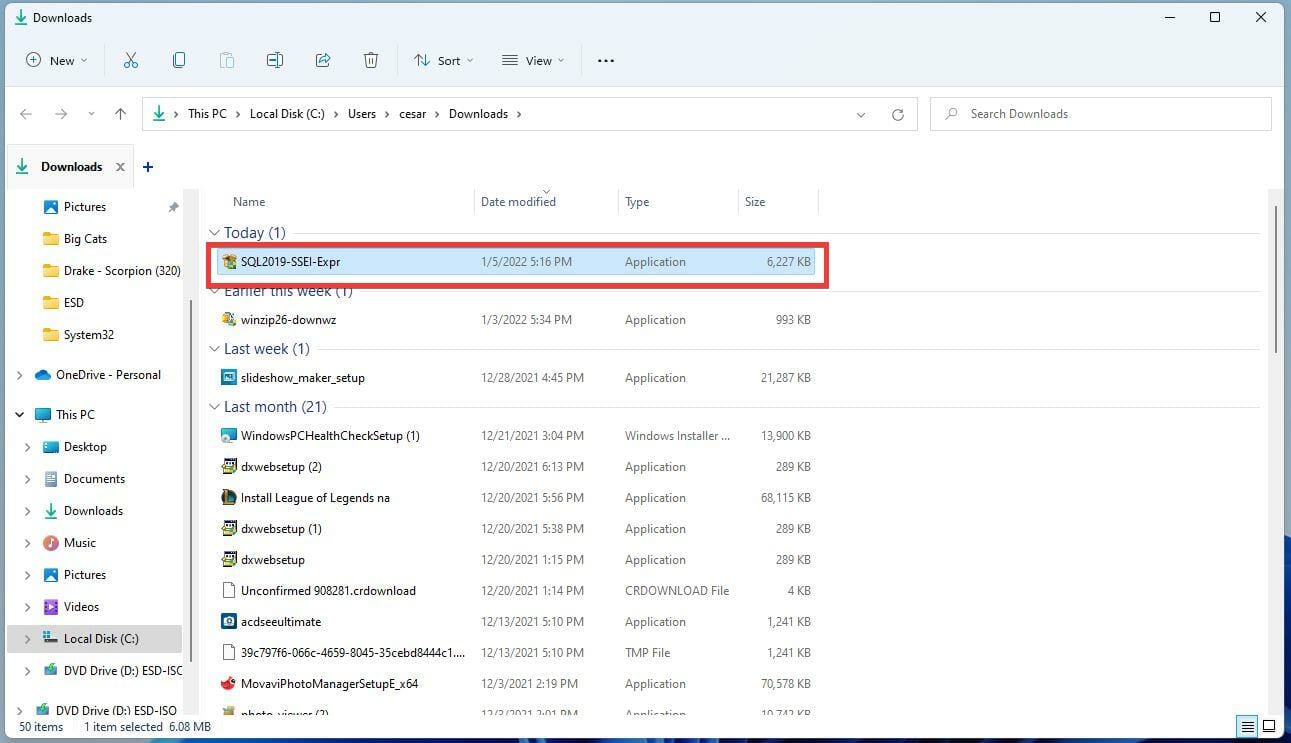 在 Windows 11 上下载和安装 Microsoft SQL Server 2019 的步骤